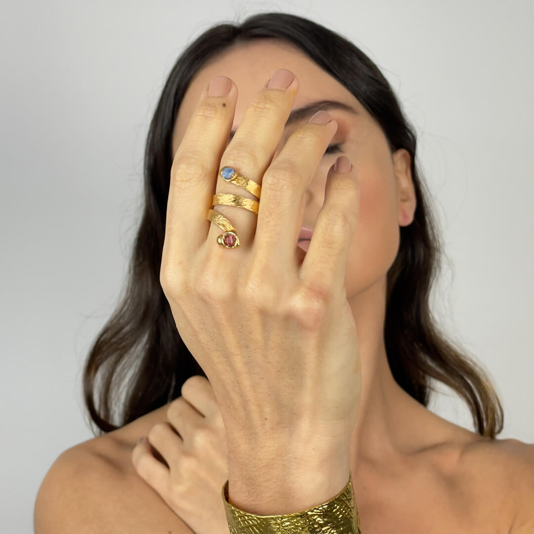 Anel Amizades