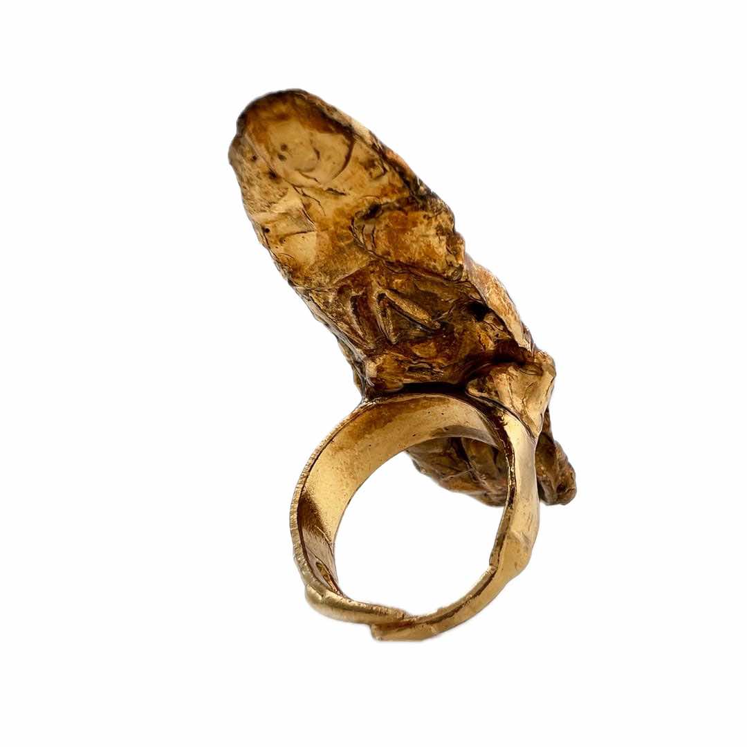 Anel da Prosperidade